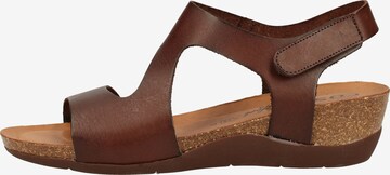 COSMOS COMFORT Sandalen met riem in Bruin