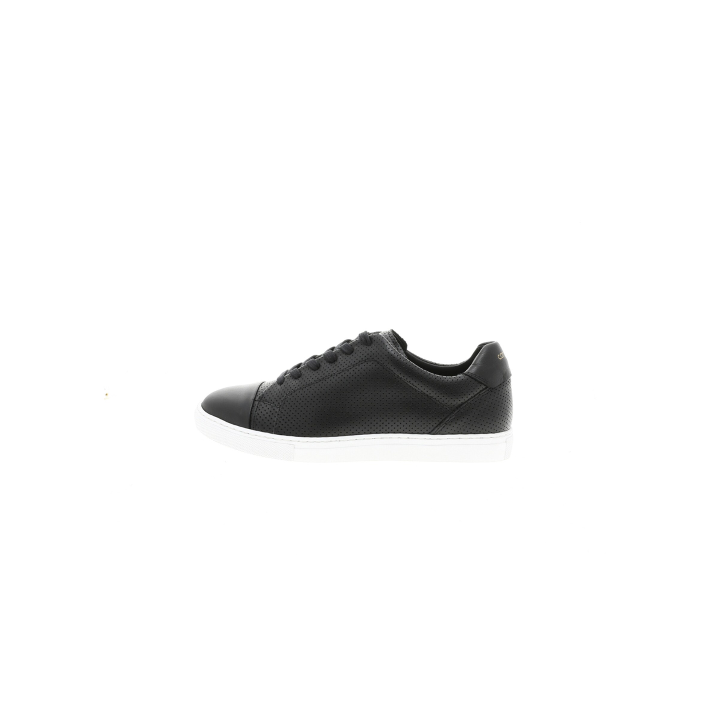 Camino71 Sneakers in Black