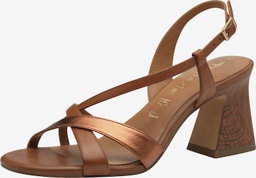 Tamaris Strap sandal in Brown: front