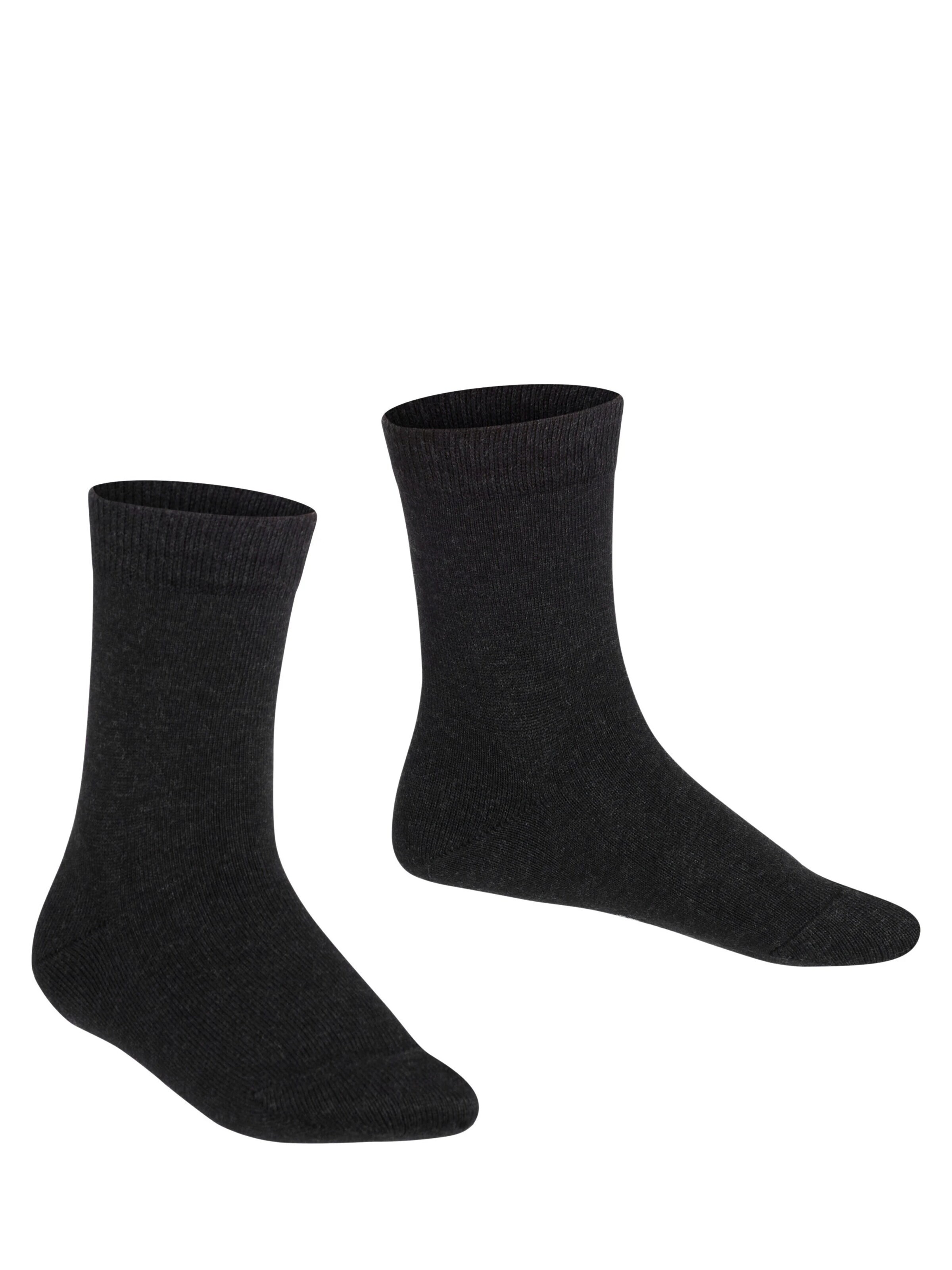 FALKE Socks 'Family' in Grey