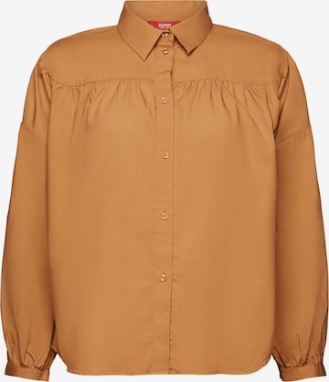 ESPRIT Blouse in Brown: front