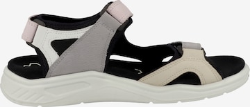 ECCO Sandals & Slippers 'Trinsic' in Mixed colors