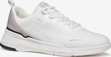 GEOX Sneaker in Weiß: Vorderseite