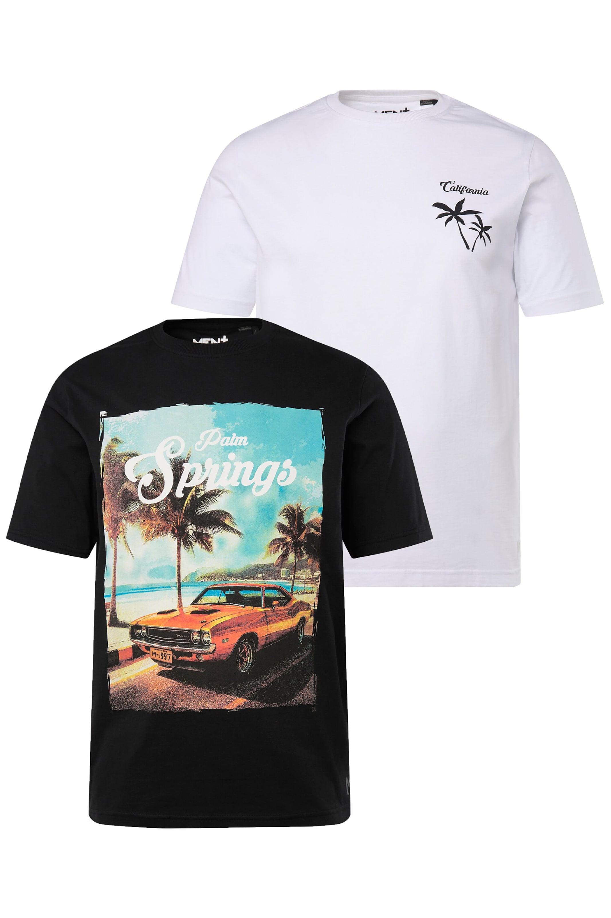 T-Shirt Men Plus en mélange de couleurs : devant