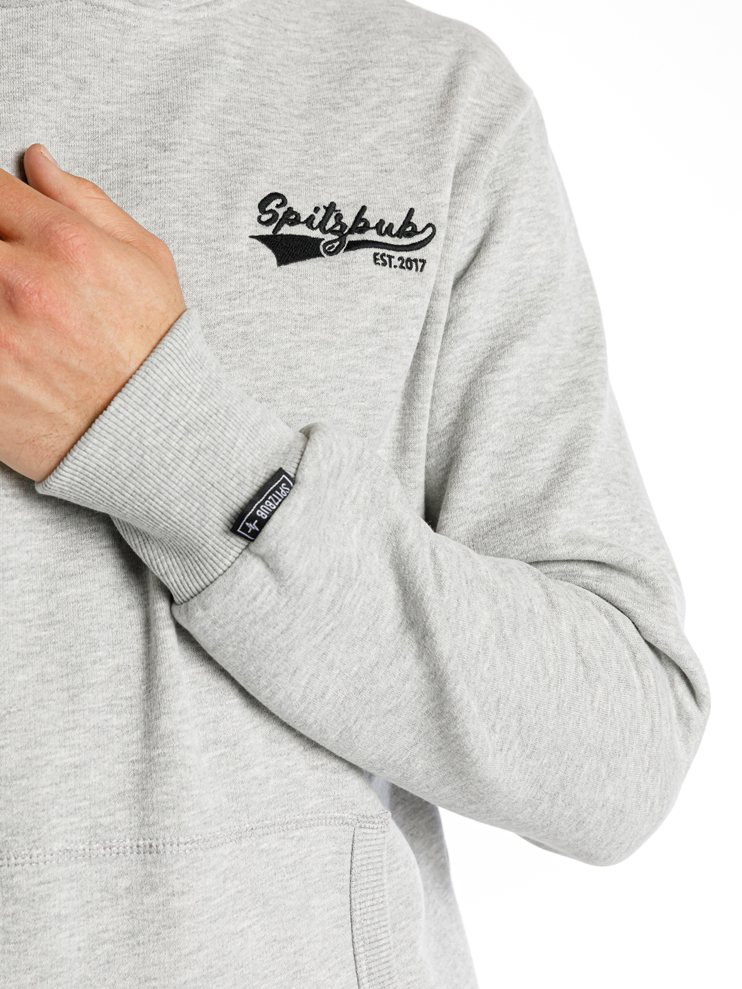 SPITZBUB Sweatshirt ' Philipp ' in Grau