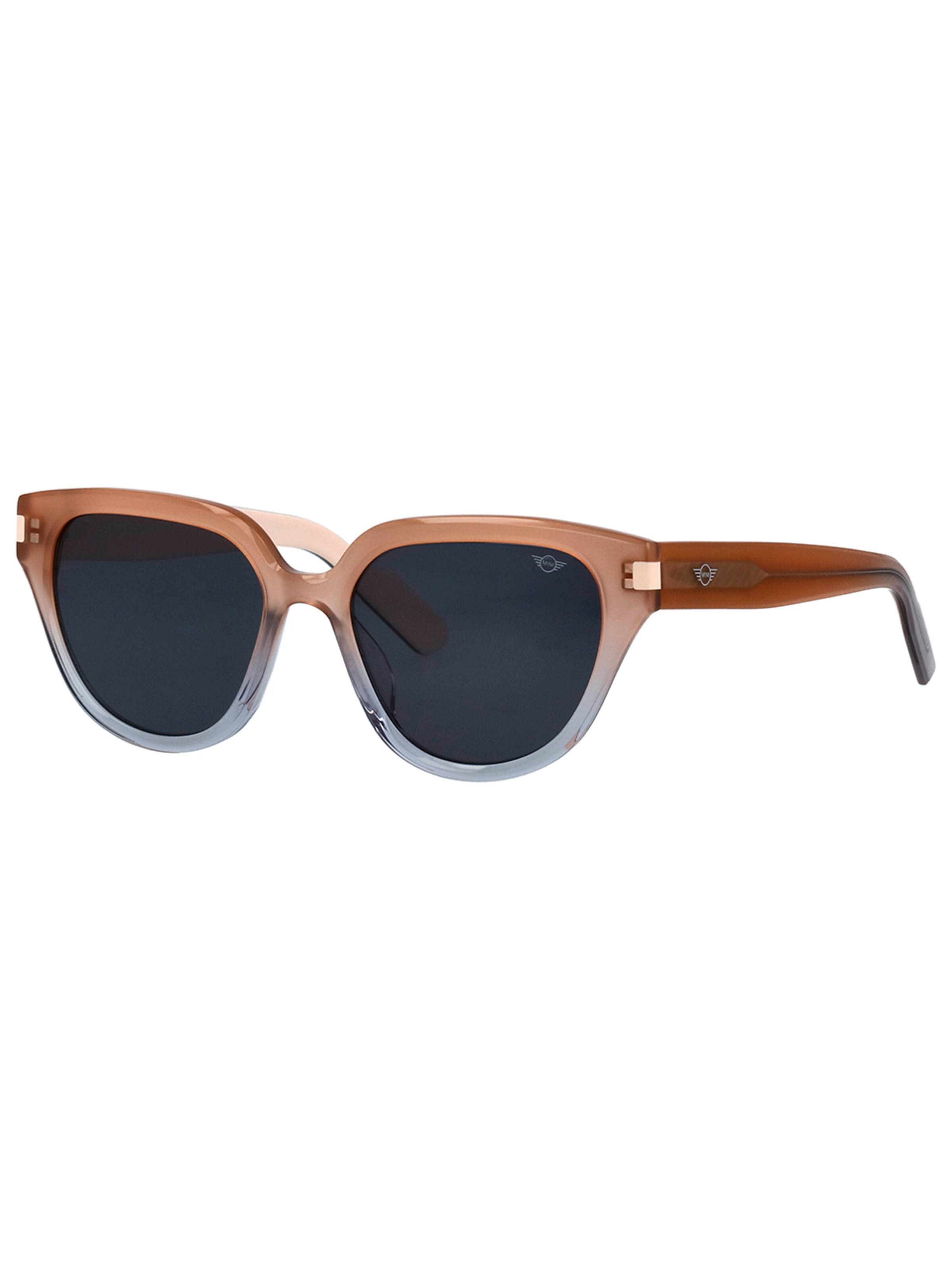 MINI Eyewear Sunglasses in Brown: front
