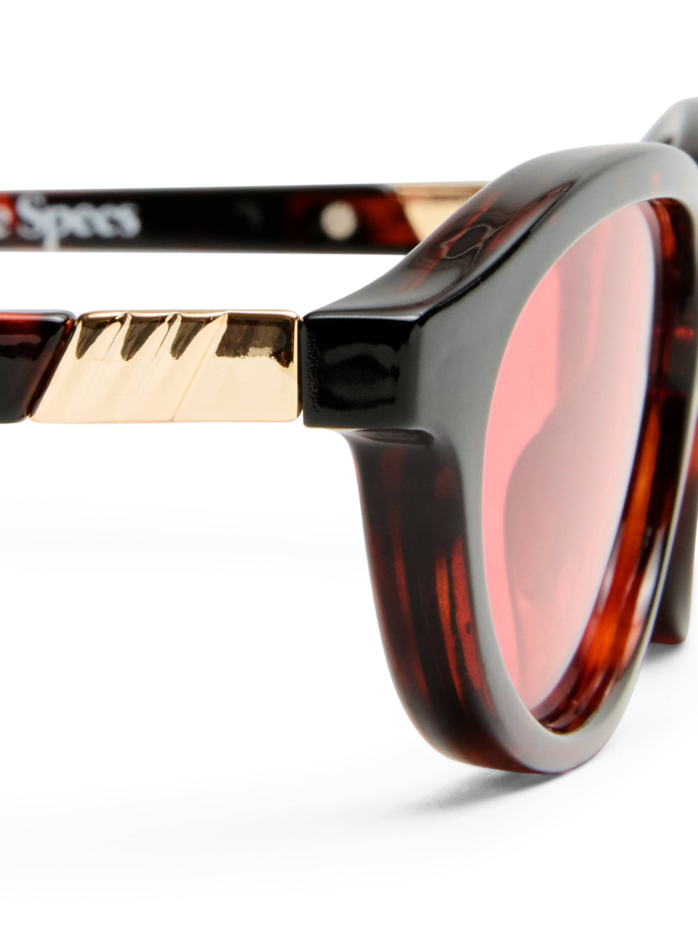 LE SPECS Γυαλιά ηλίου 'DUSKFALL LTD' σε καφέ