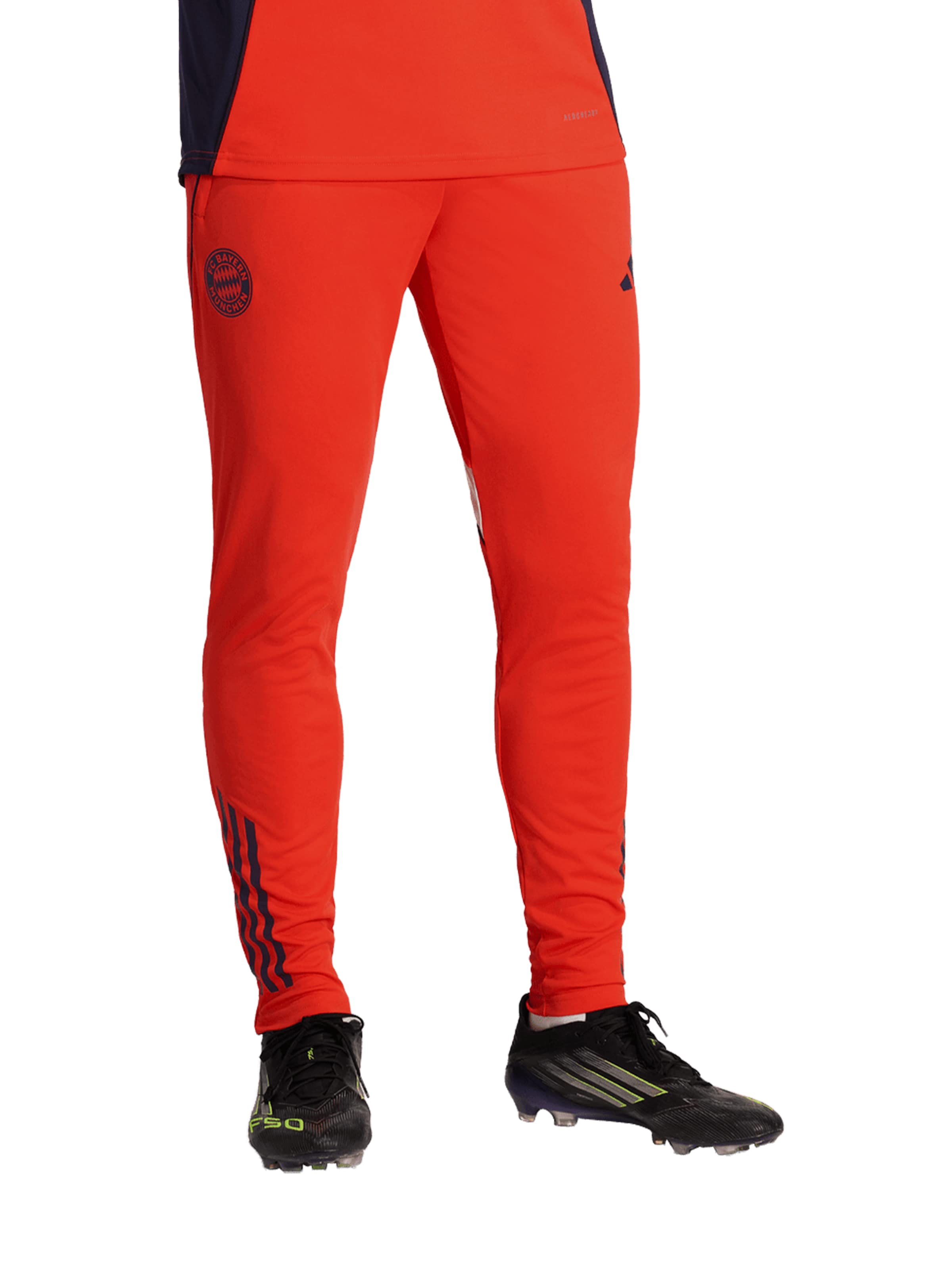 ADIDAS PERFORMANCE Pantalon de sport 'FC Bayern München 2025/2026 Tiro25 Competition' en rouge / noir / blanc, Vue avec produit