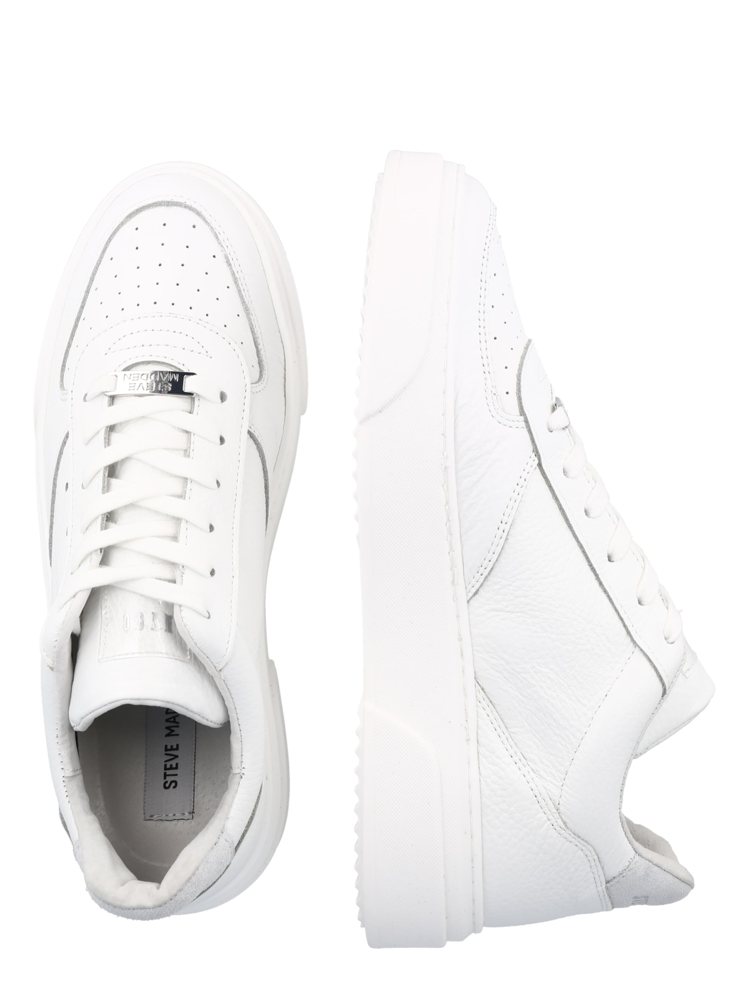 Baskets basses 'BRENT' STEVE MADDEN en blanc