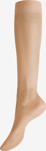 Gambaletto 'Glamour 20' di Hudson in beige: frontale