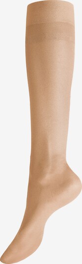 Hudson Kniestrumpfe 'Glamour 20' in 35-38 in beige, Produktansicht