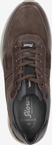 SIOUX Sneakers laag 'Lachlan' in Bruin