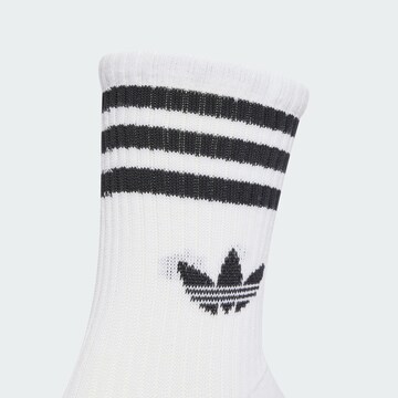 Chaussettes ADIDAS ORIGINALS en blanc
