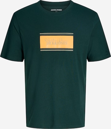 JACK & JONES T-Shirt in Grün: Vorderseite