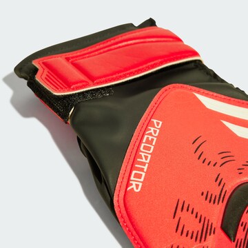 ADIDAS PERFORMANCE Sports gloves 'Predator Pro' in Red