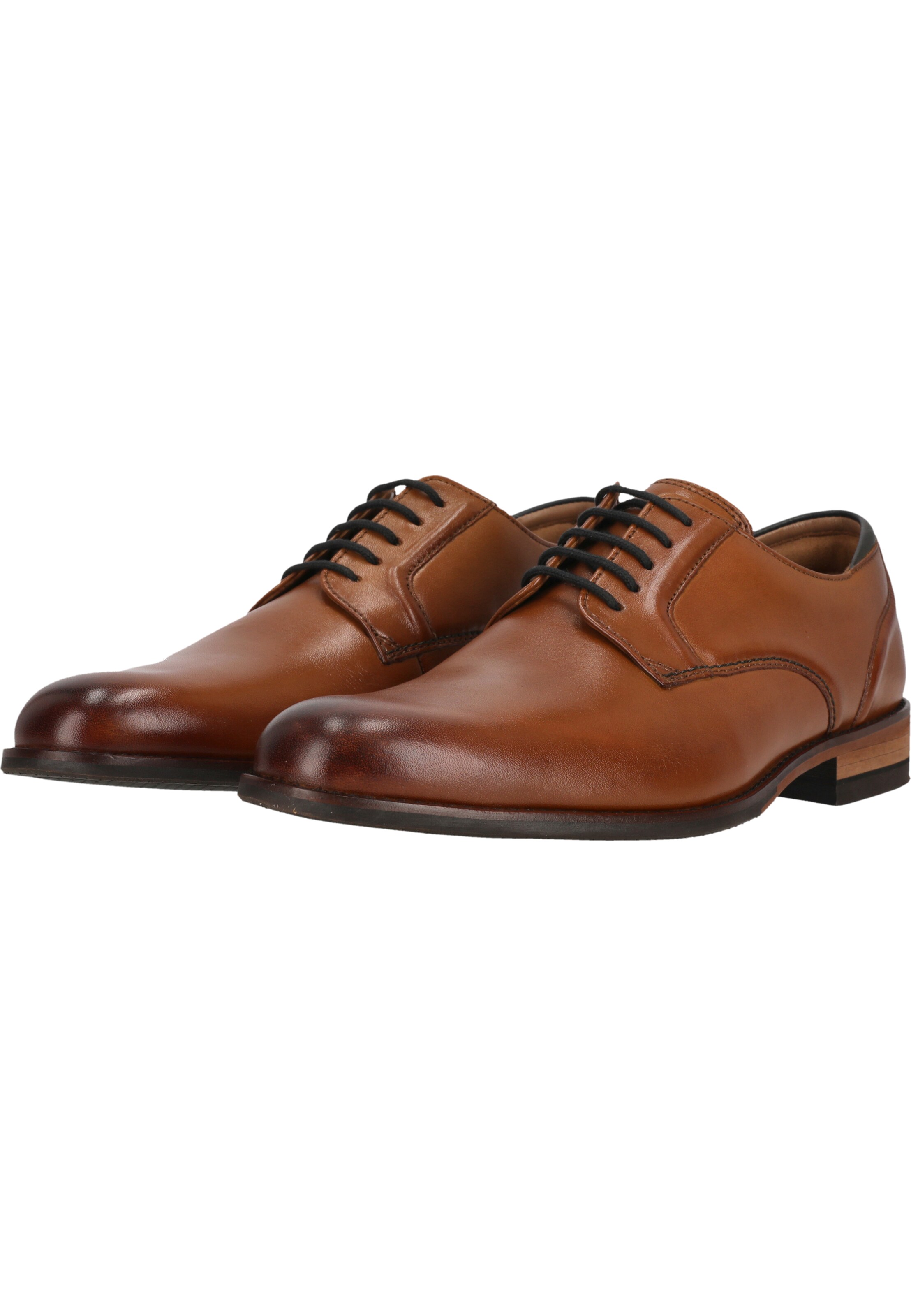 CLARKS Lace-up shoe 'CraftArlo' in Brown