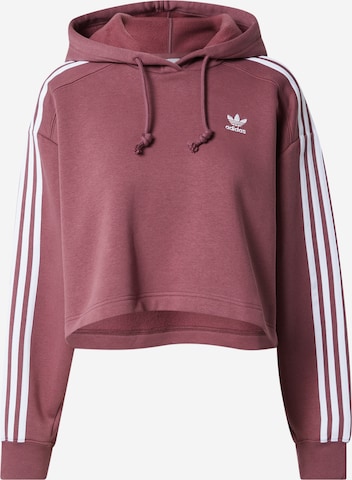 ADIDAS ORIGINALS Sweatshirt in Brown: front