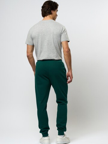 U.S. POLO ASSN. Tapered Housut 'Terkel' värissä vihreä