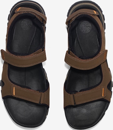 TIMBERLAND Sandals in Brown