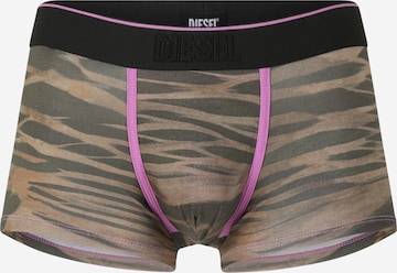 DIESEL Boxer shorts 'DAMIEN' in Green: front