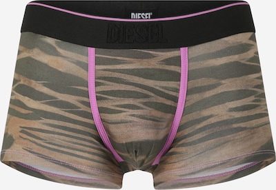 DIESEL Boxers 'DAMIEN' em cáqui / verde escuro / roxo, Vista do produto