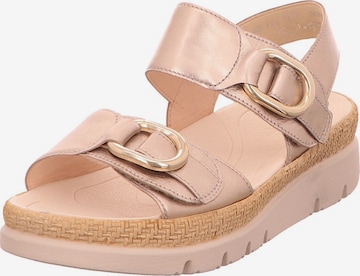 GABOR Sandals in Pink: front