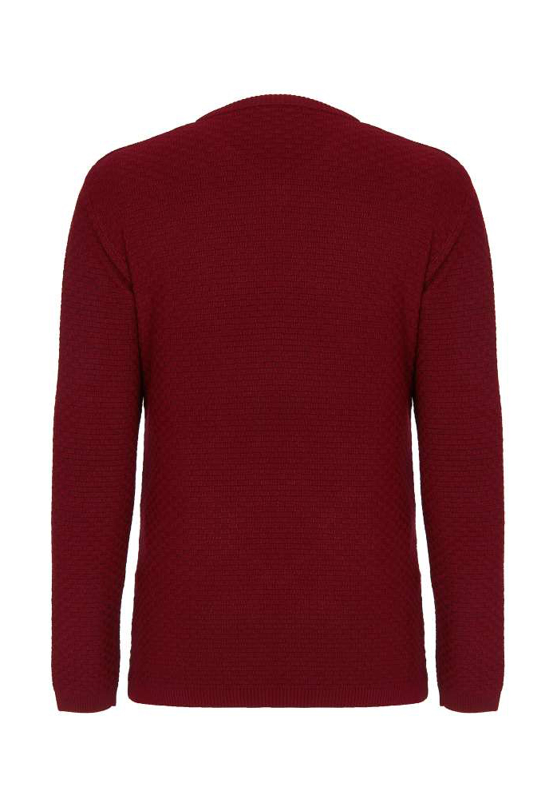 CIPO & BAXX Pullover in Rot