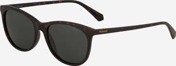 Polaroid Sunglasses in Brown: front