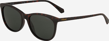 Polaroid Sonnenbrille in Braun: Vorderseite