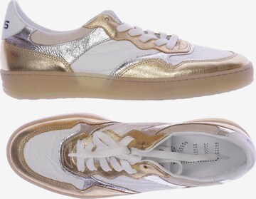 Mjus Sneaker Gold Weiss MJUS Sneaker 41 In Gold ABOUT YOU