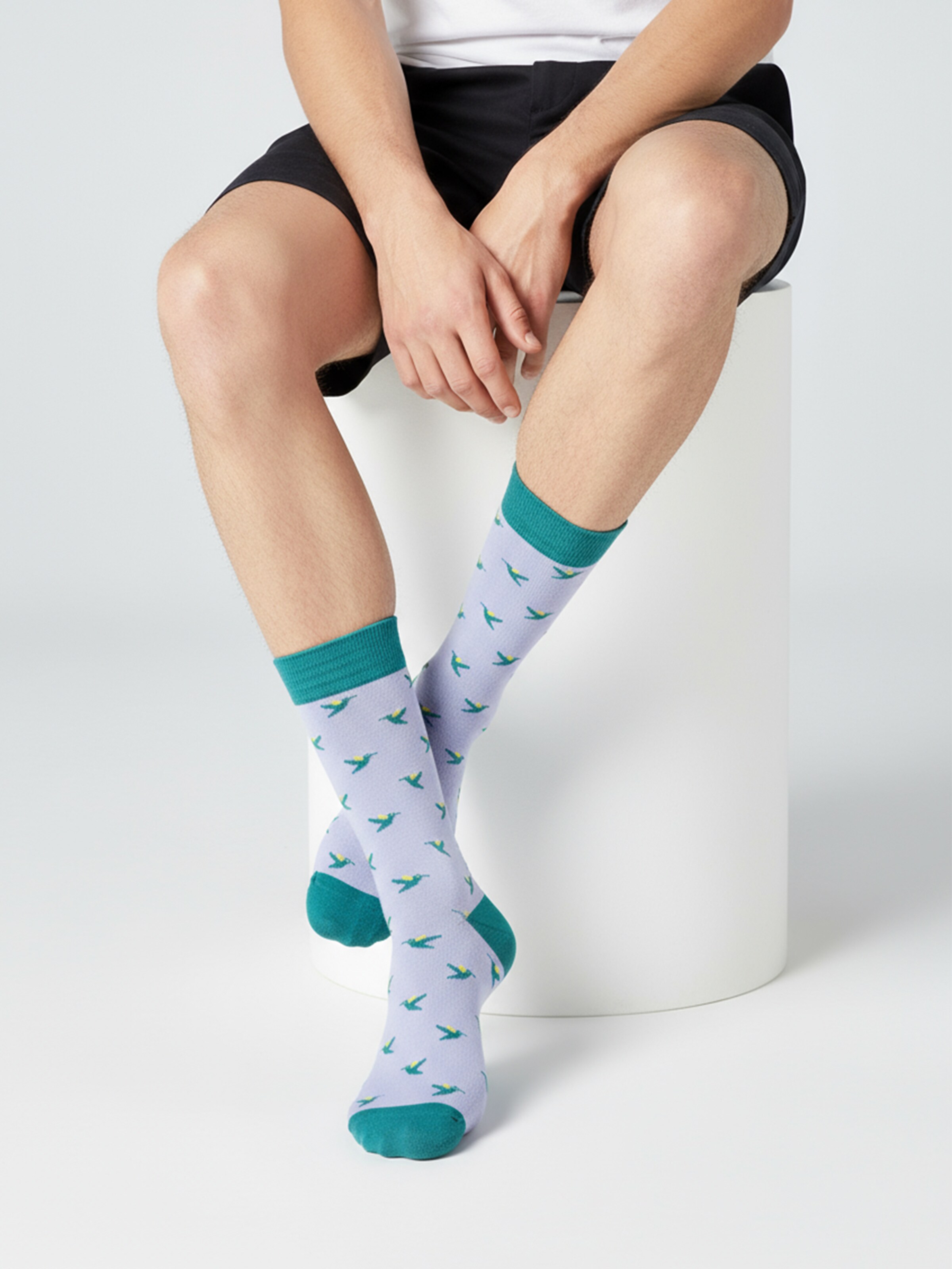 The Arctic Bay Socks 'ZEFYR EDITION Gift box 4 Pack Unisex' in Mixed colours: front
