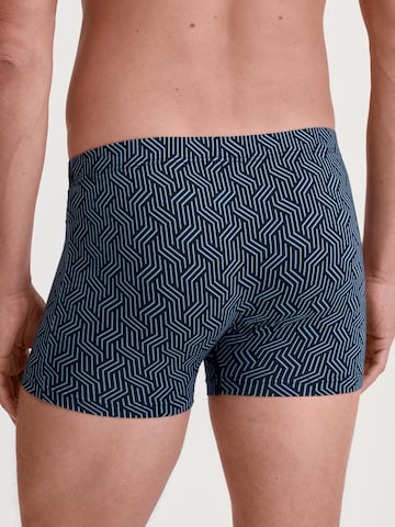 CALIDA Boxer shorts 'Focus Trend' in Blue