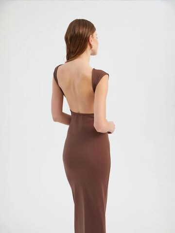 Hiccup Jurk in Bruin