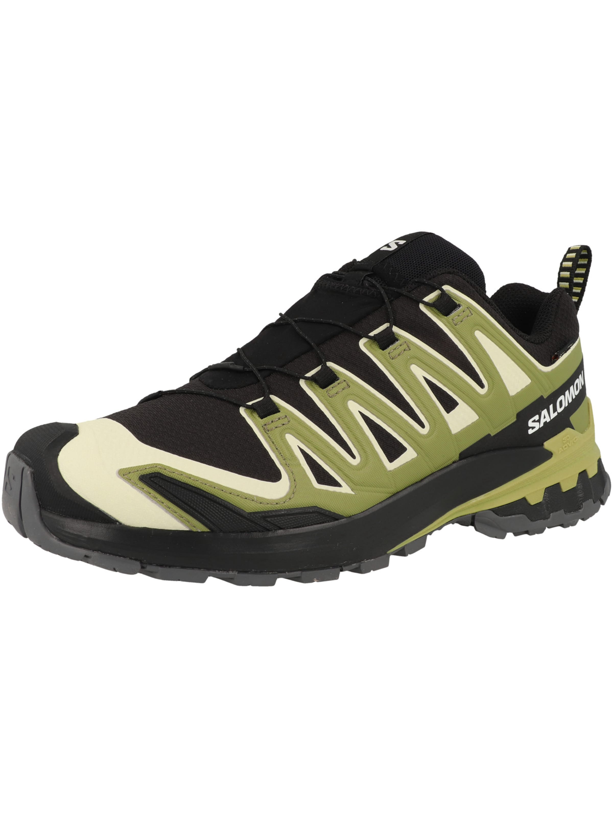 Chaussure de course 'XA PRO 3D V9' SALOMON en noir : devant