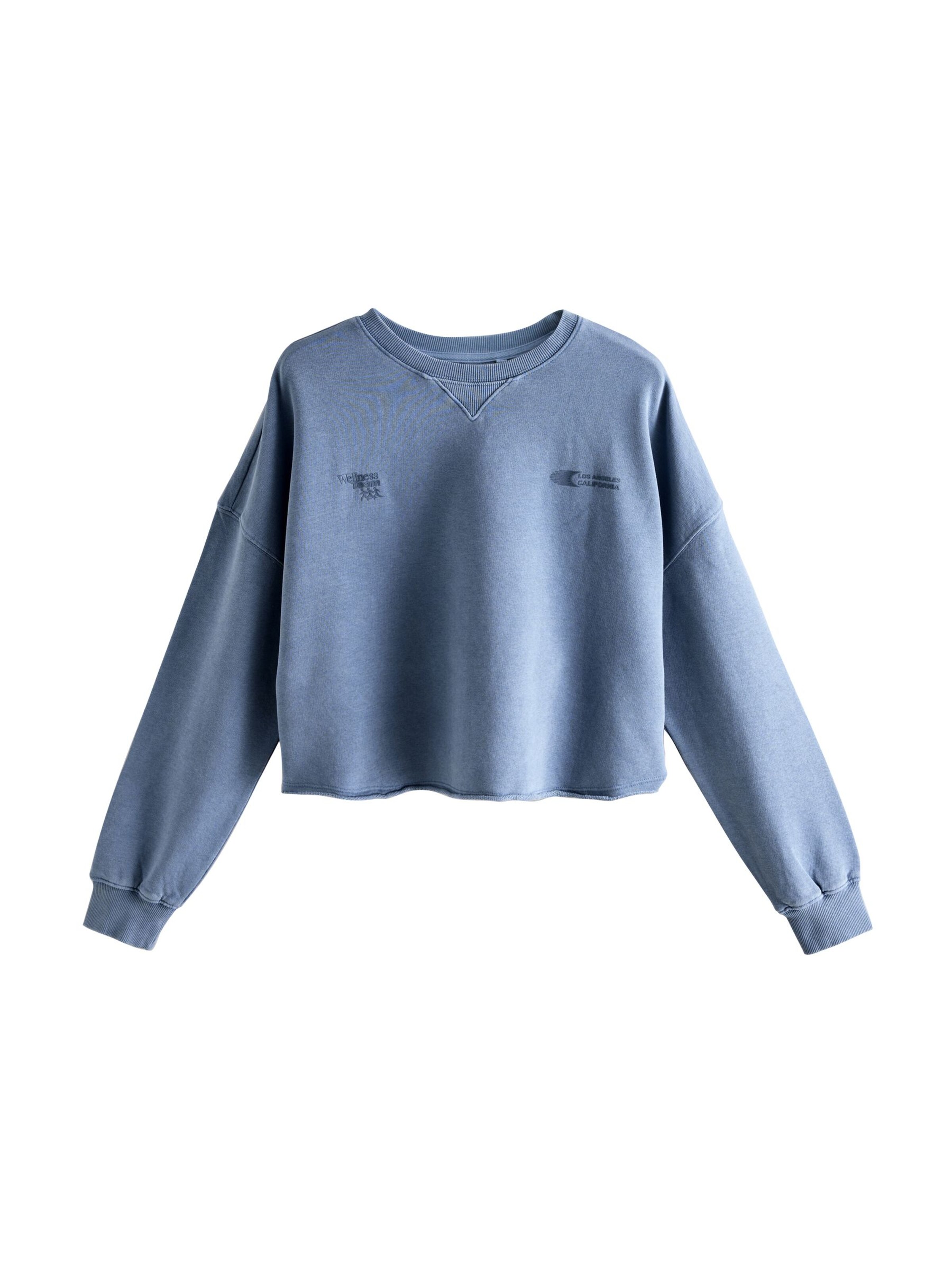 Next Sweatshirt in Blau: Vorderseite