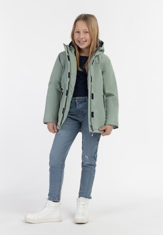 Schmuddelwedda Performance Jacket in Green