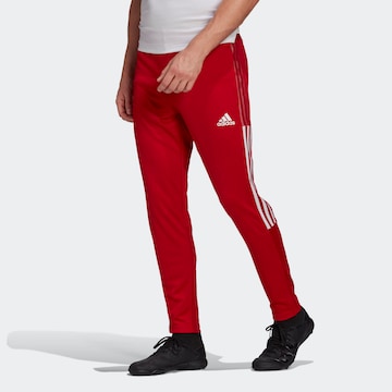 ADIDAS SPORTSWEAR Tapered Workout Pants 'Tiro 21' in Red: front