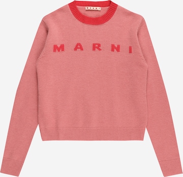 Marni Sweater in Pink: front