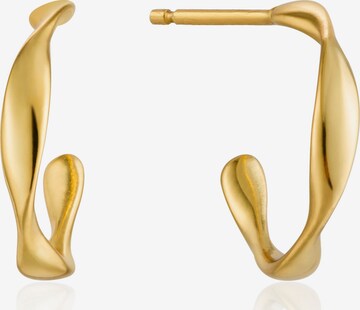 ANIA HAIE Earrings in Gold: front