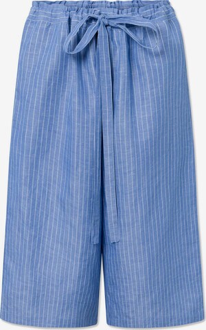 STUDIO FEDER Regular Pants in Blue: front
