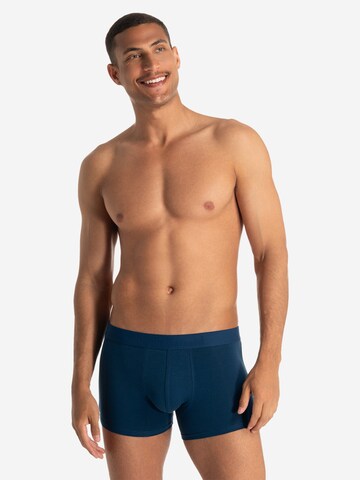 Bruno Banani Boxer shorts 'Flowing' in Blue: front