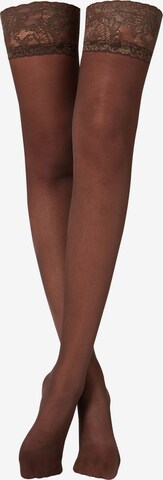 CALZEDONIA Hold-up stockings in Brown: front