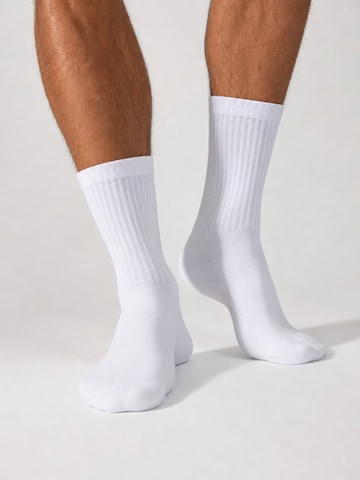 sockenkauf24 Athletic Socks in White: front