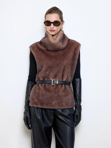 BASSIA Weste 'Faux-mink-fur brown dickey'‌‌‌‌‌‌‌ in Braun: Vorderseite