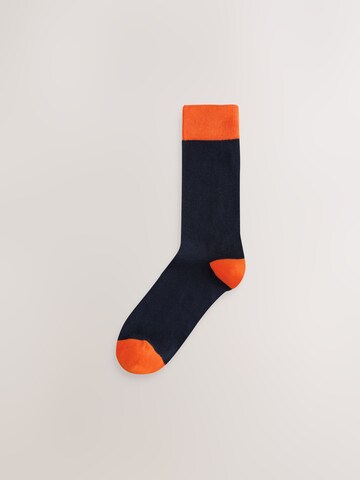 Next Socks in Blue