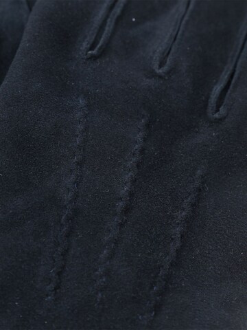 Suitable Full finger gloves in Blue