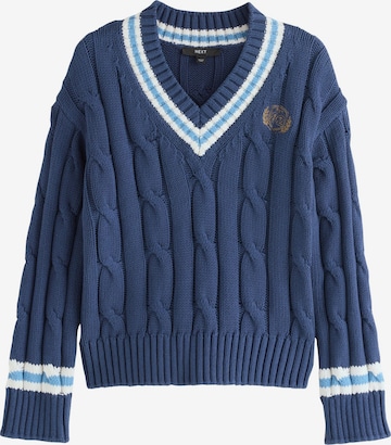 Next Sweater in Blue: front