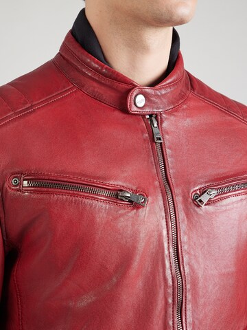 Mauritius Tussenjas 'Derry' in Rood