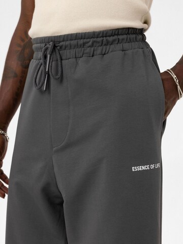 Loosefit Pantaloni di VAMOS CLO in grigio