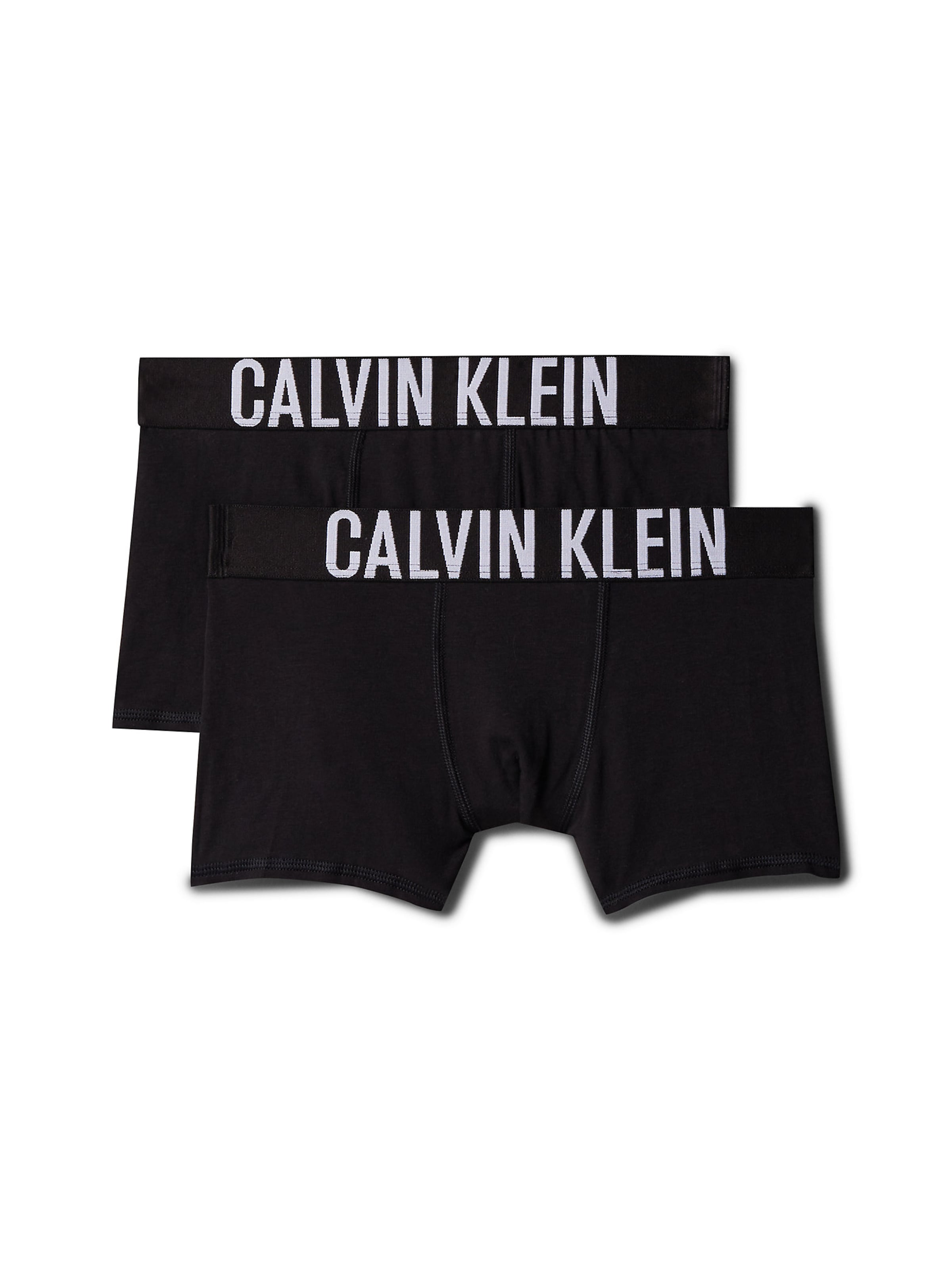 Regular Sous-vêtements 'Intense Power' Calvin Klein Underwear en noir : devant